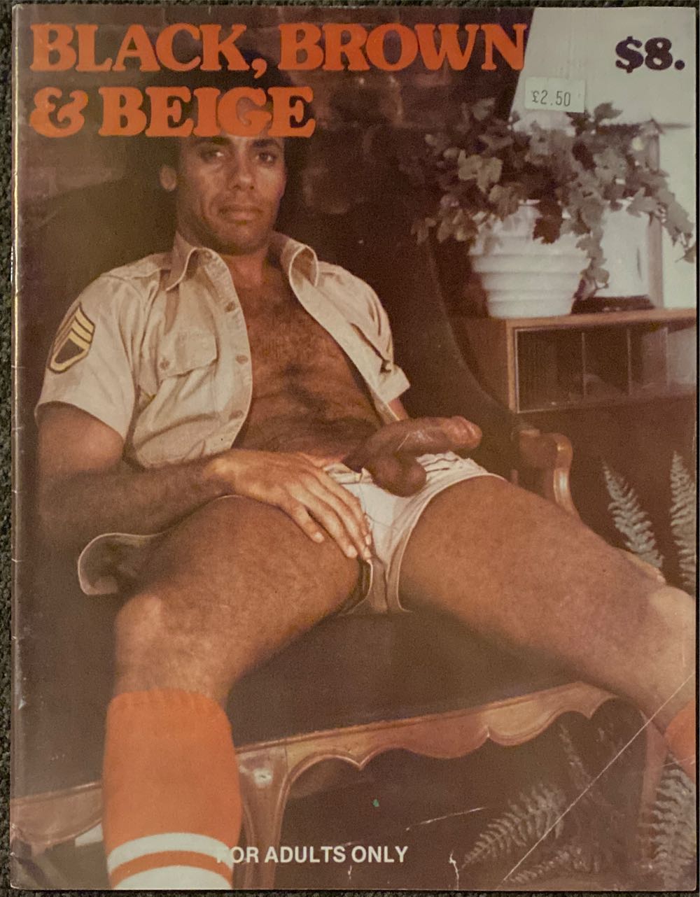 Taste Of Home Crazy For Cupcakes