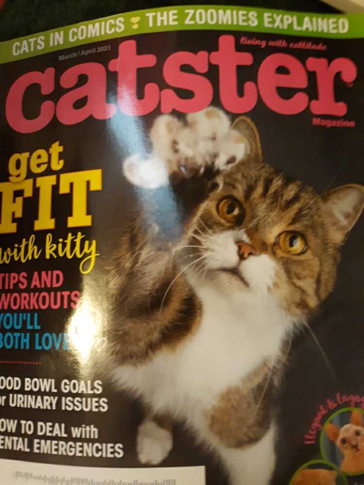 The Sporting News - Pro Football