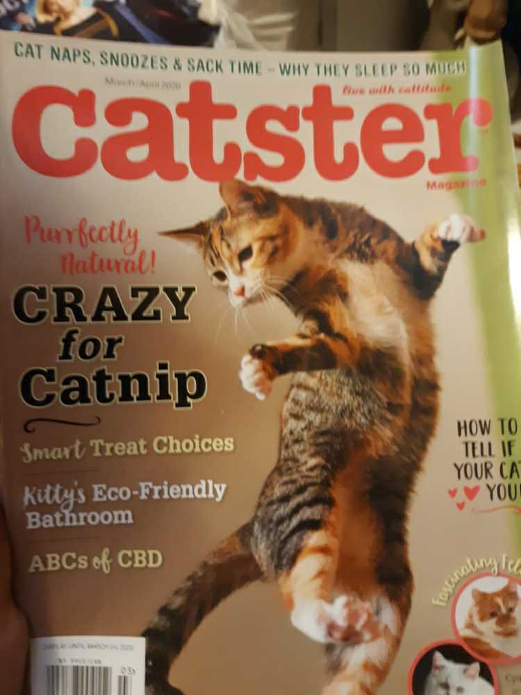 Famous Monsters Of Filmland