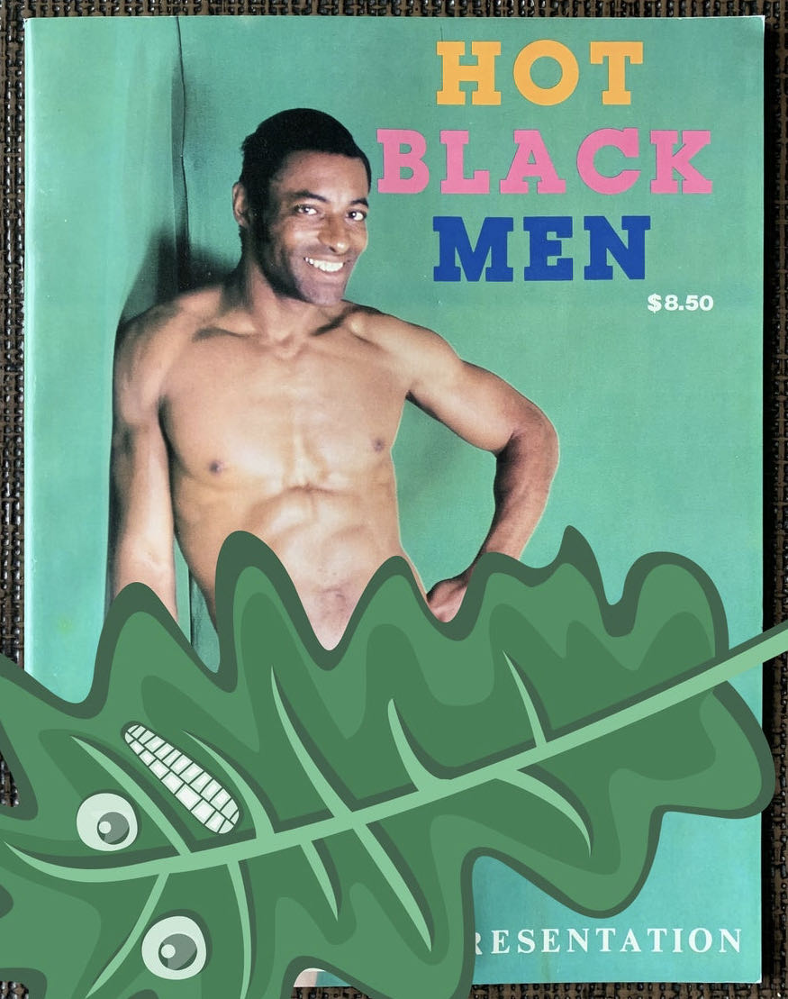 Star Wars Insider 90