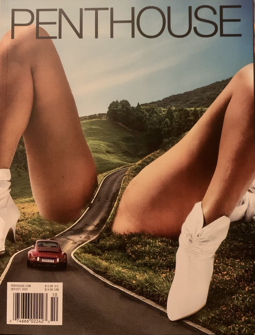 Sports Market Report