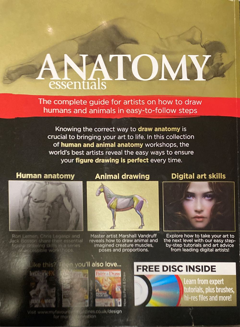 Creative Masterminds Anatomy Essentials  magazine collectible [Barcode 074470229827] - Main Image 2