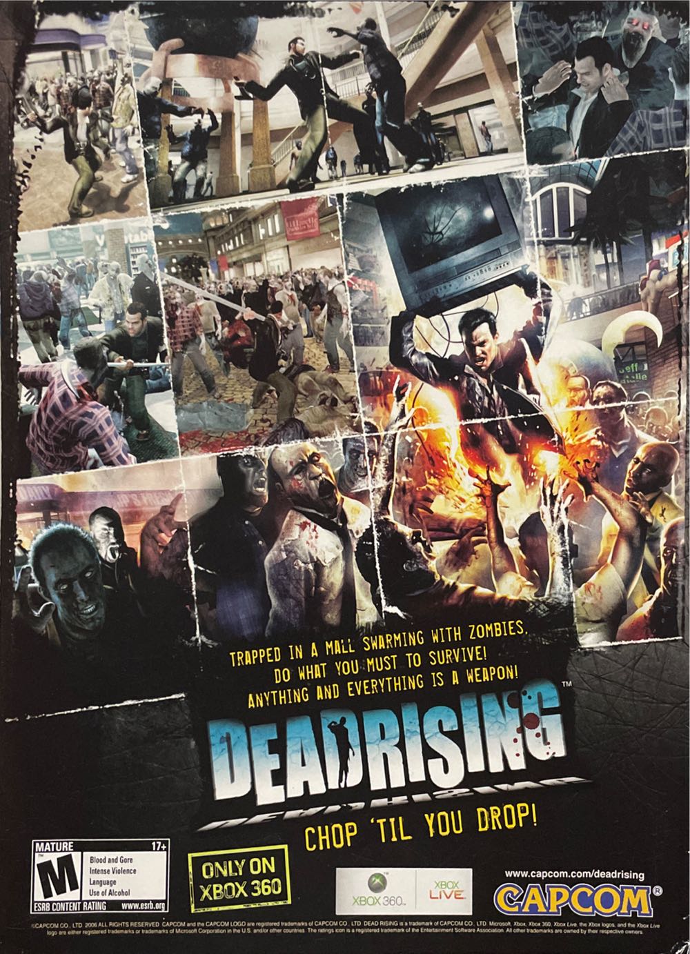 Electronic Gaming Monthly 204  (June) magazine collectible [Barcode 07447006960706] - Main Image 2