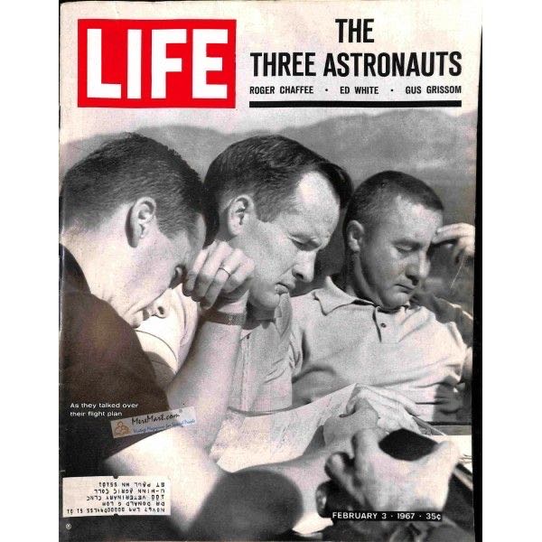 Attractions Magazine V14.1