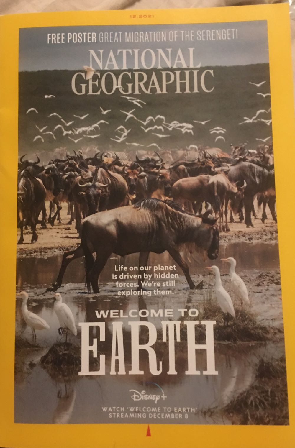 Leisure Arts The Magazine