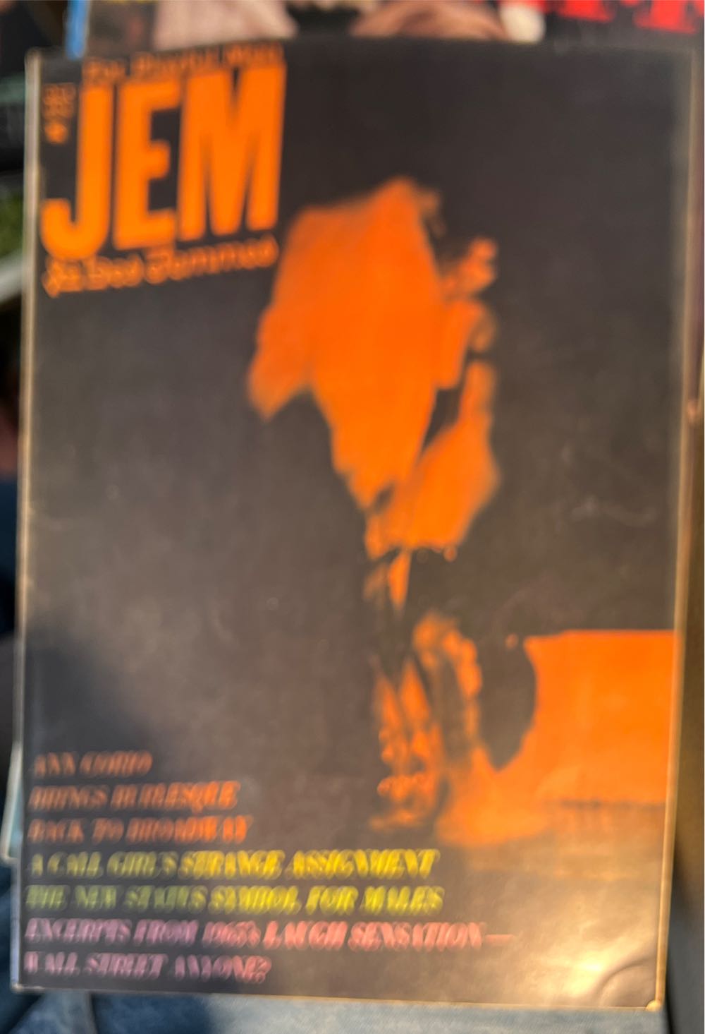 Parade the enchanted world of beauty and the beast