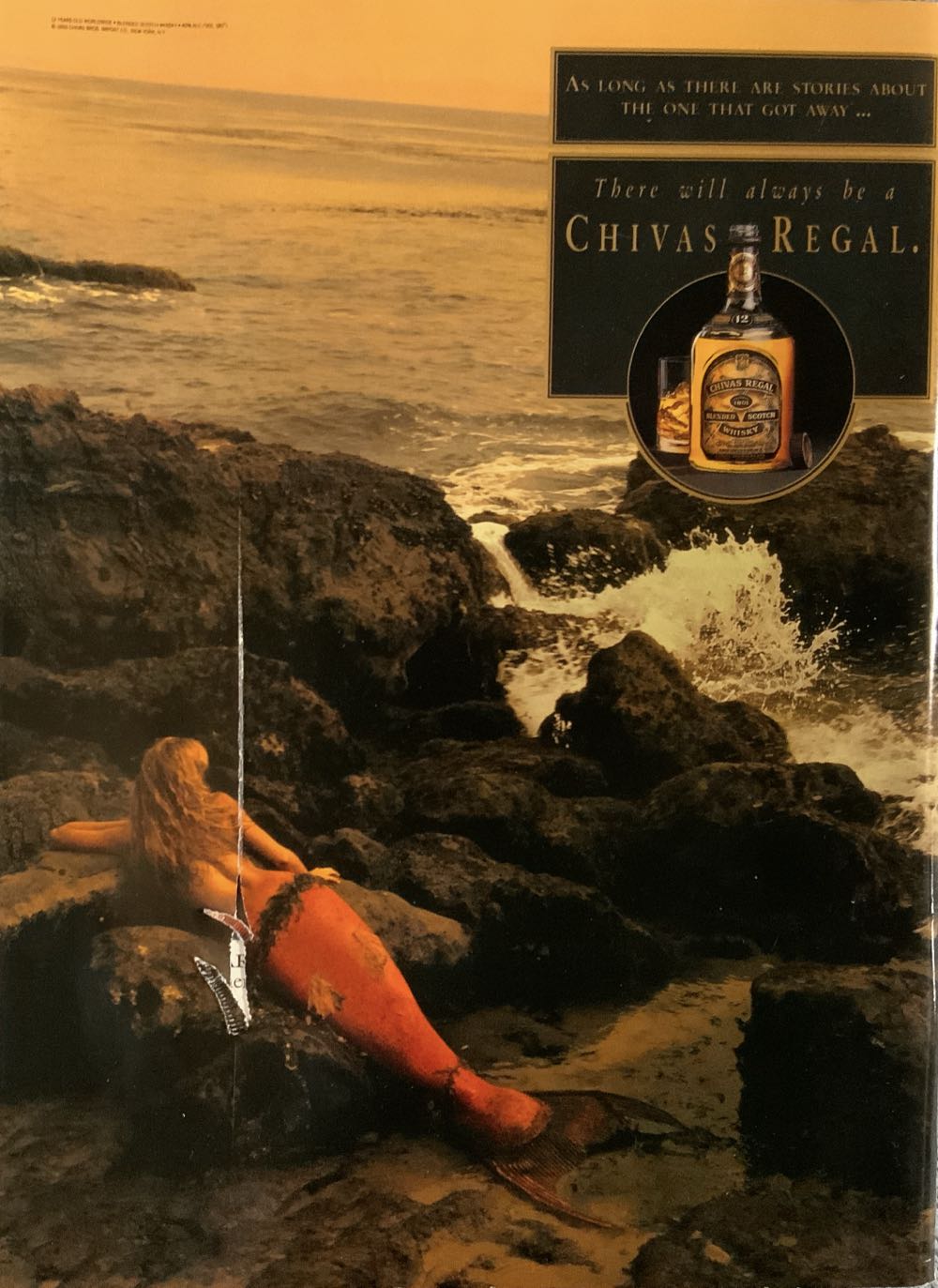 Sports Illustrated Swimsuit Issue 1993  (February) magazine collectible [Barcode 09256710094108] - Main Image 2