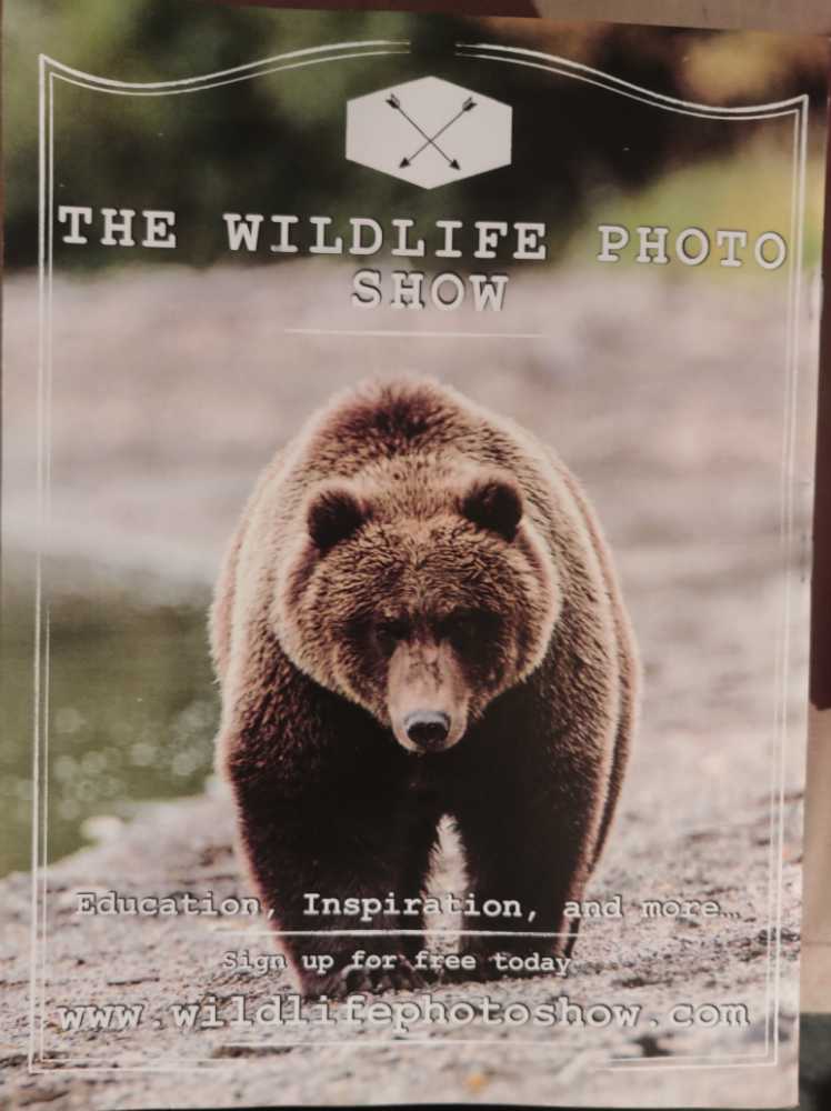 The Backwoodsman  (April) magazine collectible - Main Image 2