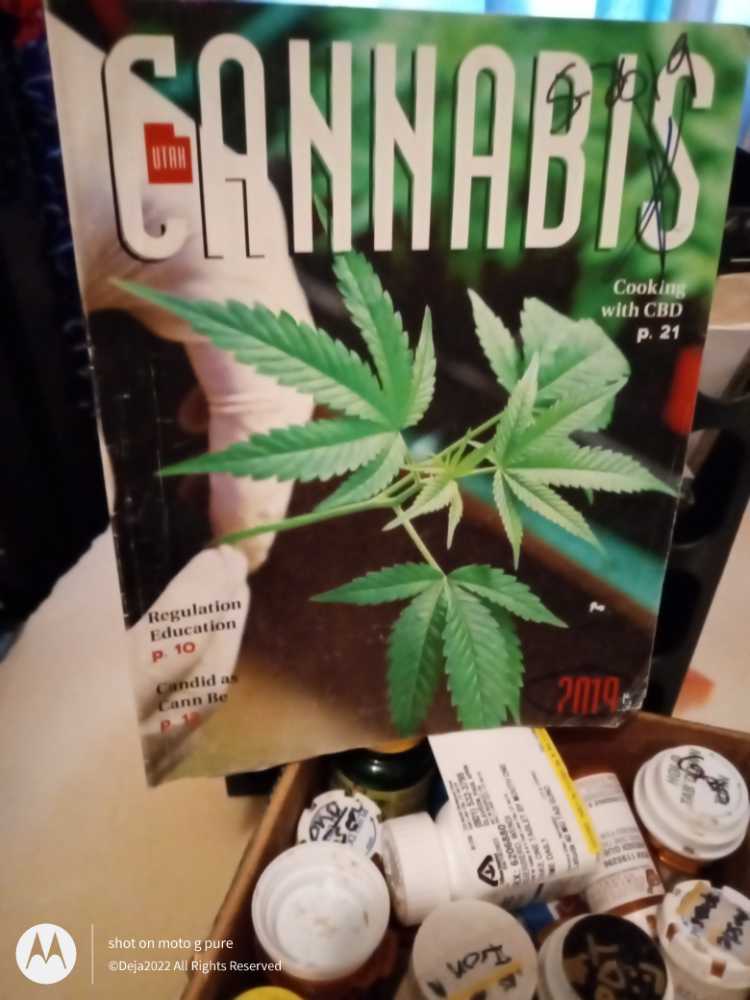 Starlog Platinum Edition #1