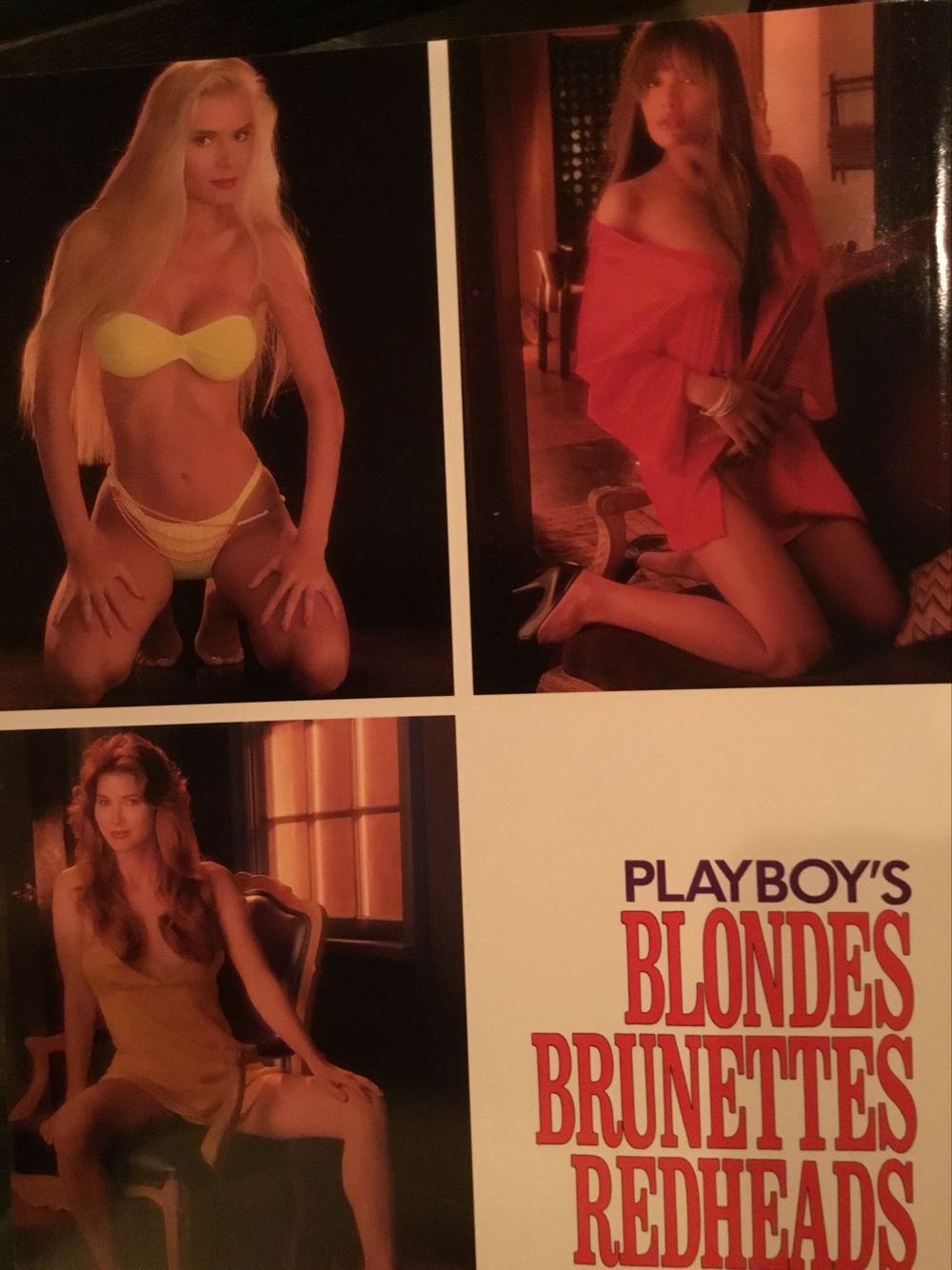 Playboy’s Blondes Brunettes Redheads  (February) magazine collectible [Barcode 03009500009802] - Main Image 2