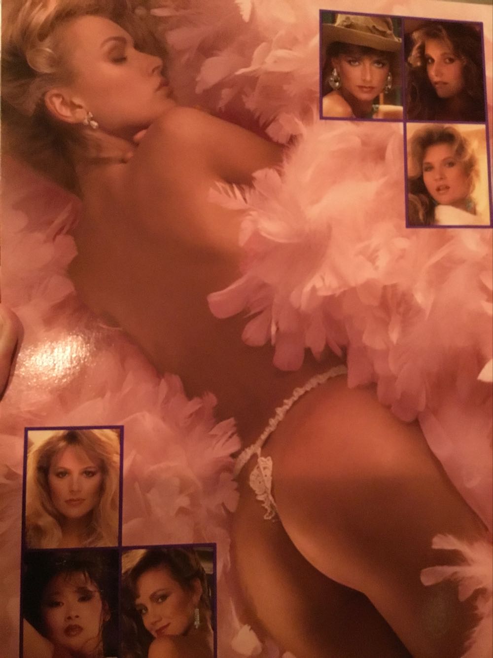 Playboy’s Playmate Review  (June) magazine collectible [Barcode 03009500009806] - Main Image 2