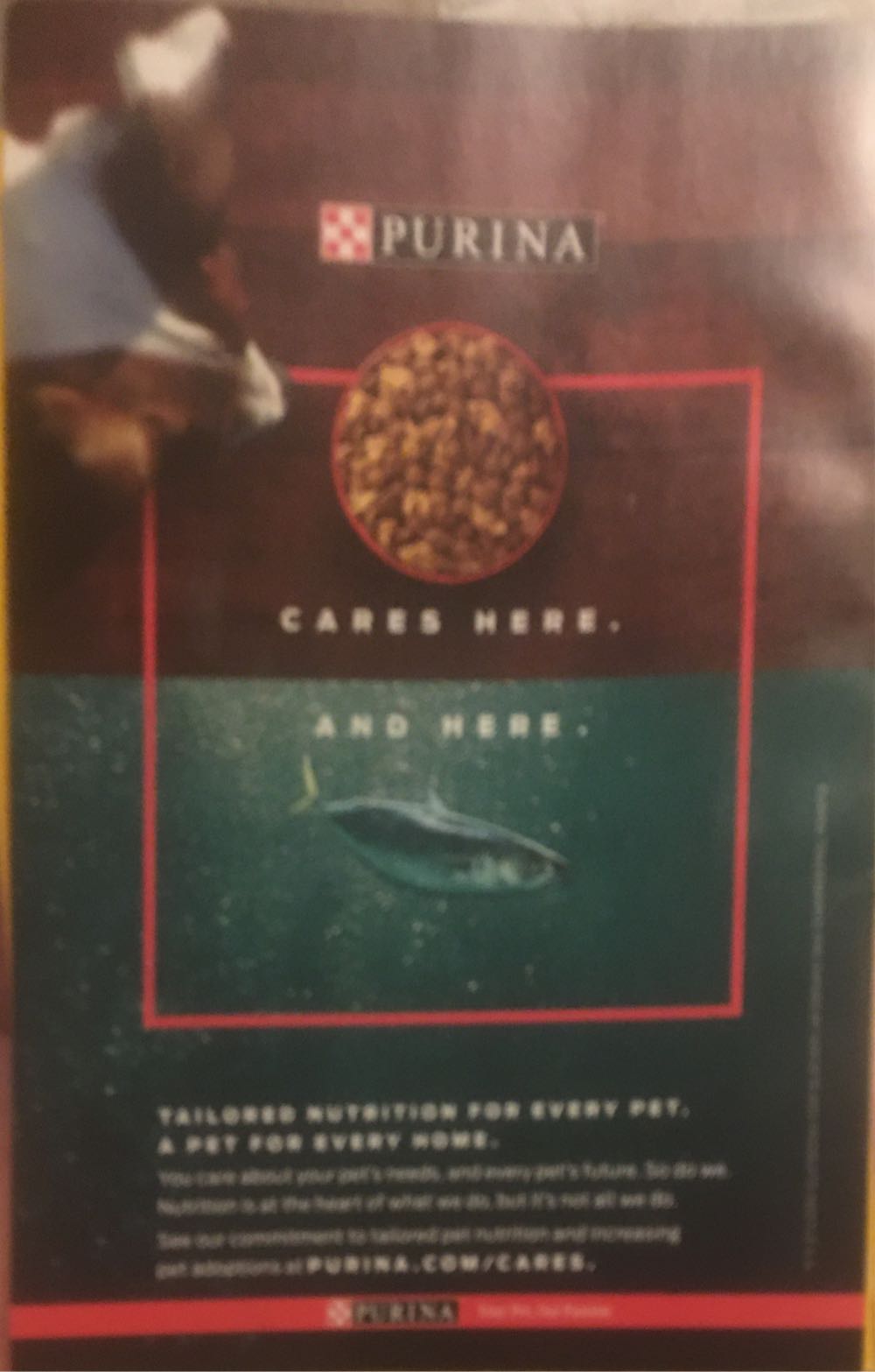 National Geographic  (March) magazine collectible - Main Image 2