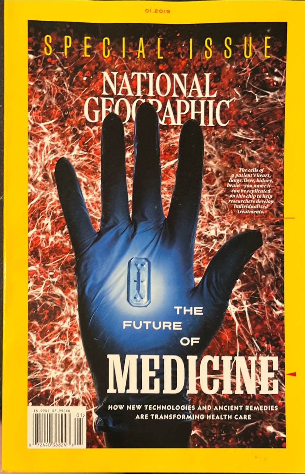 Playboy’s Bathing Beauties