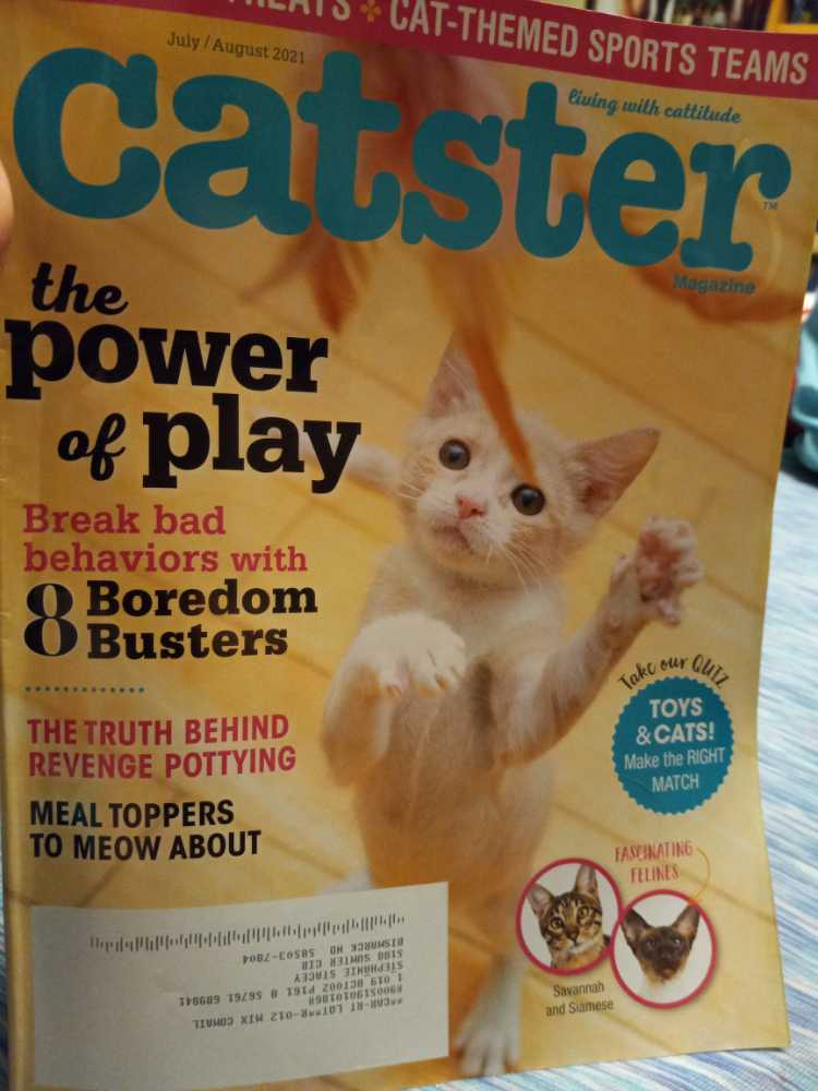 Catster Magazine  (July) magazine collectible - Main Image 1