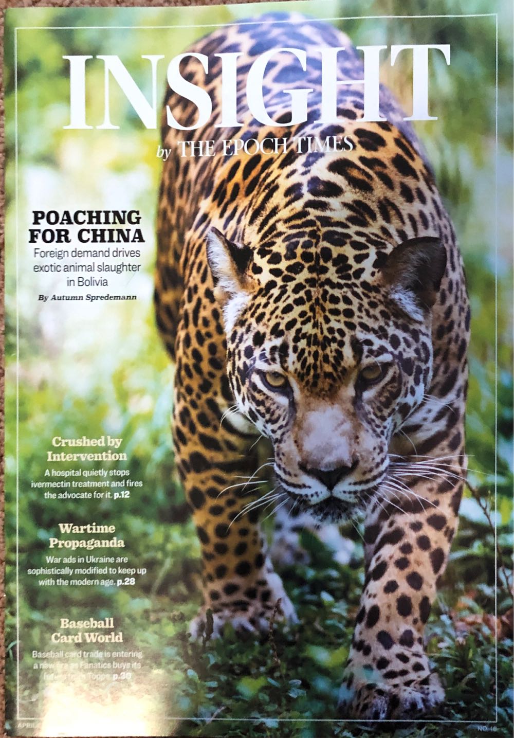 Chainsaw Man Collection 9 Book Set Volumes 1-9 By Tatsuki Fujimoto