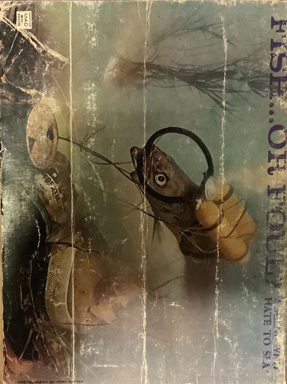 Super Special Mad Super Special Summer 1981  (December) magazine collectible - Main Image 2