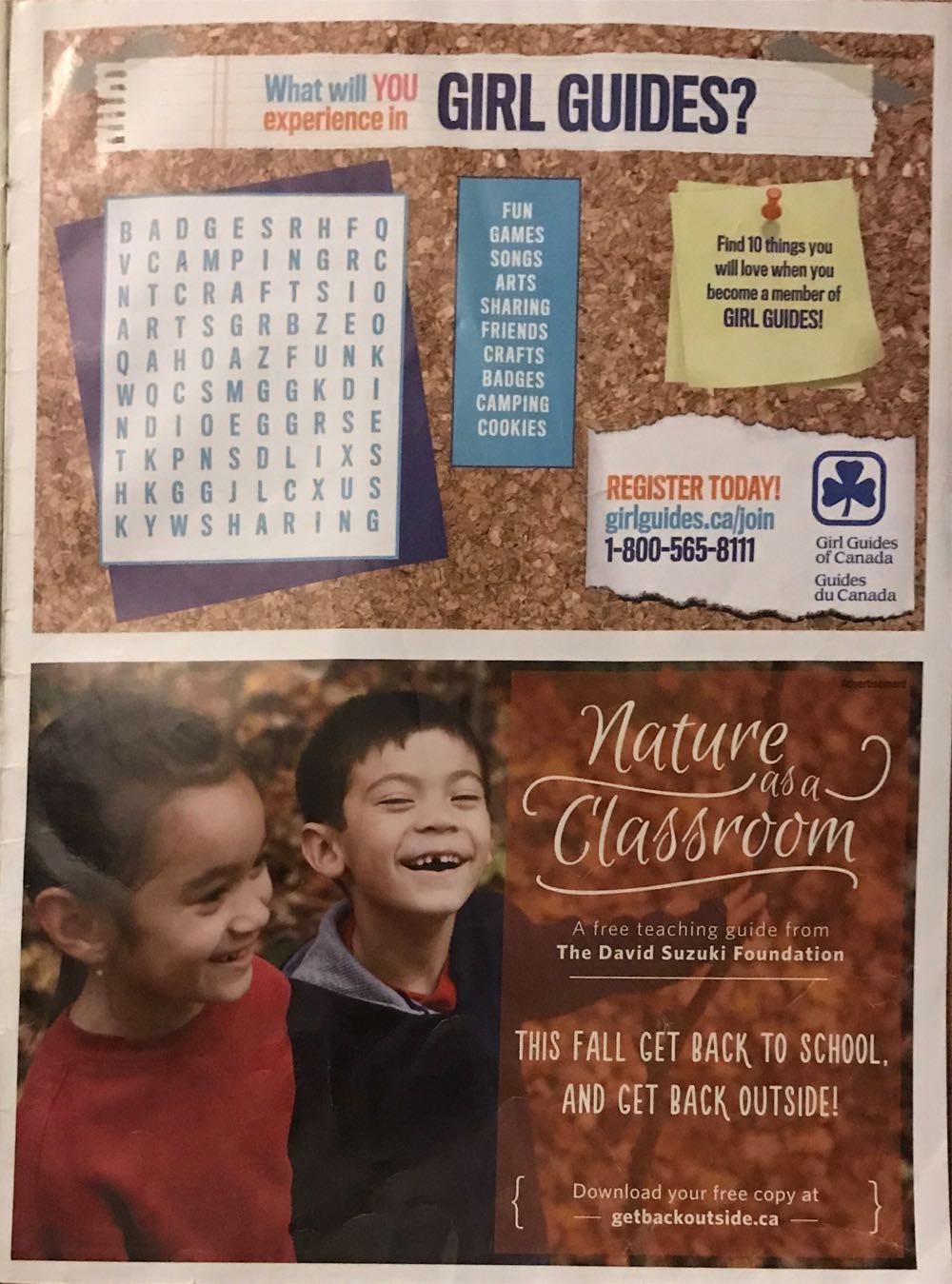 Chickadee Jsim Education  magazine collectible [Barcode 07447080649309] - Main Image 3