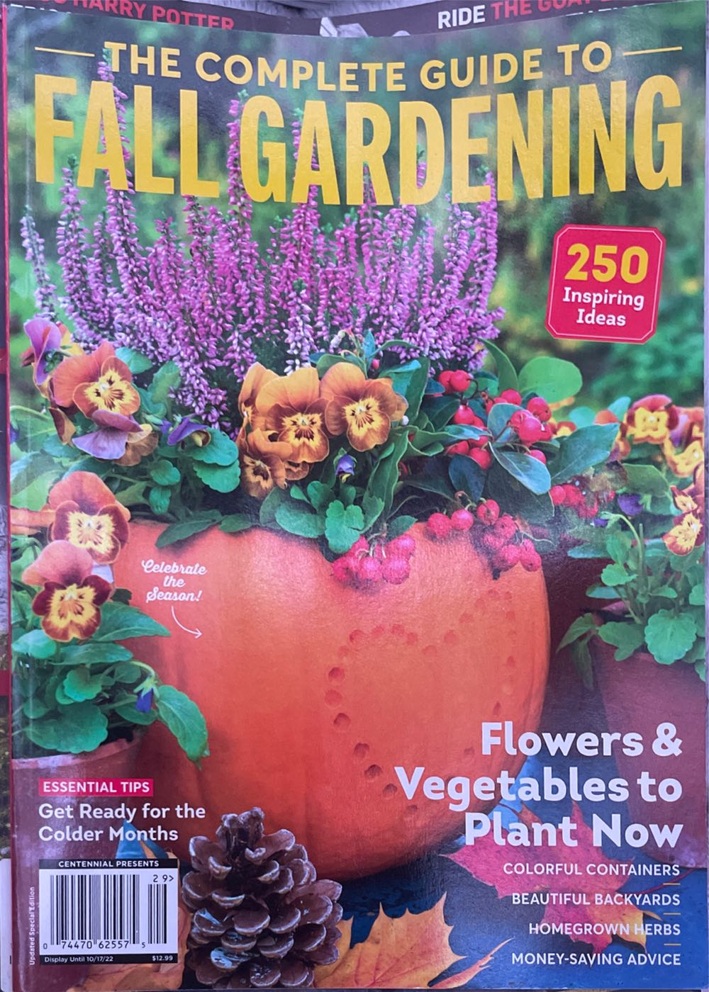 BBC Shop (2018 Summer)