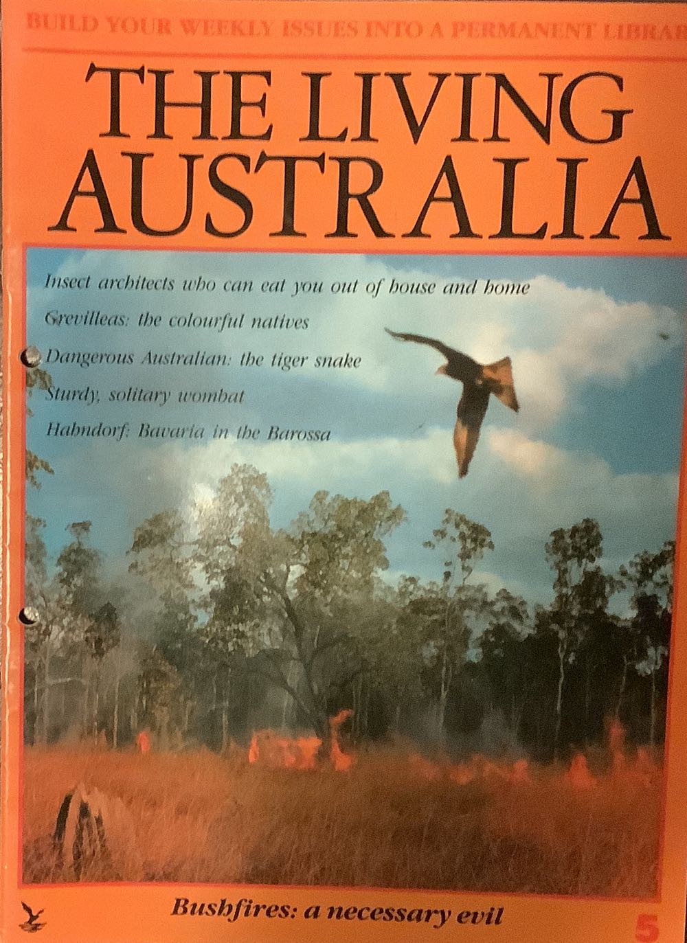 Scary Monsters Magazine #97