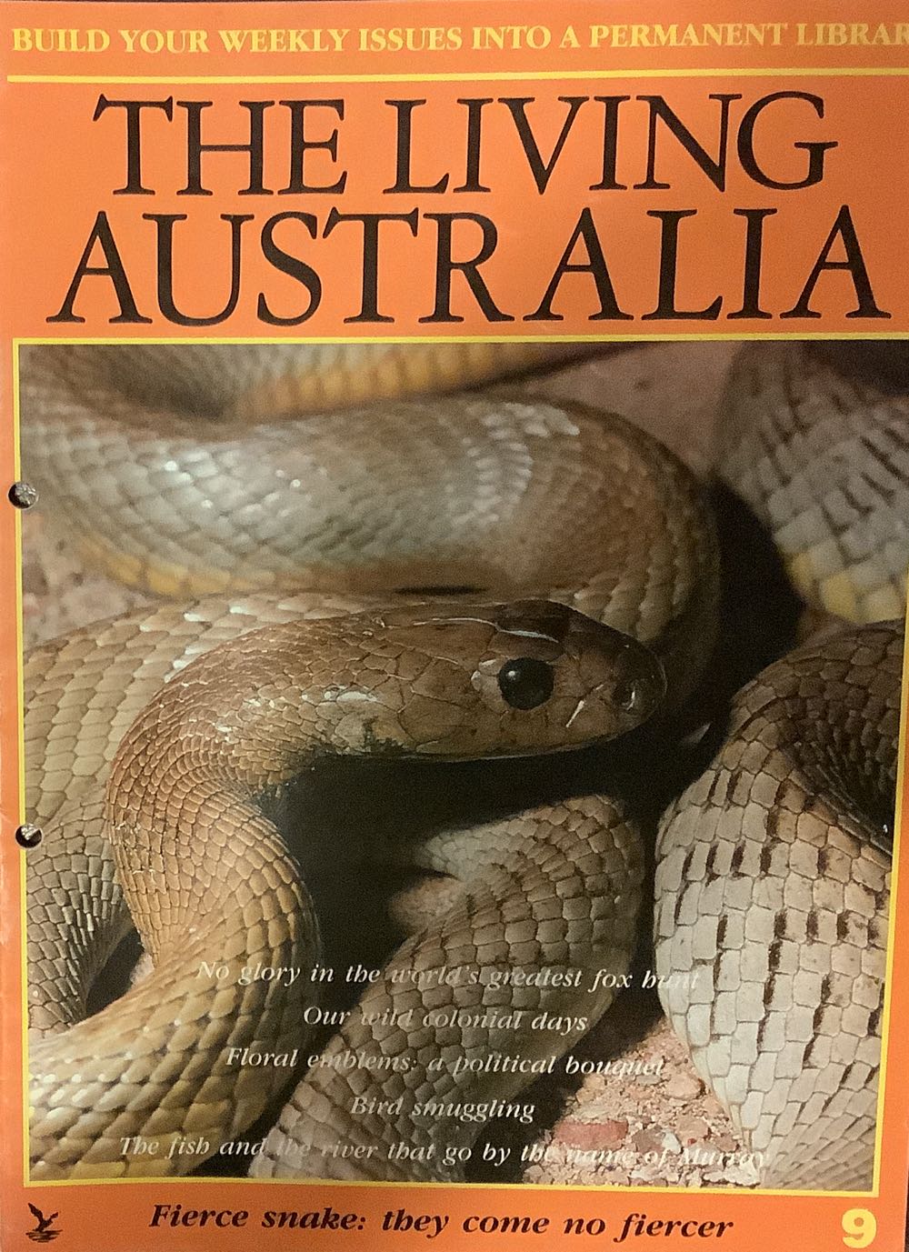 Nintendo Player’s Guide - Dragon Warrior