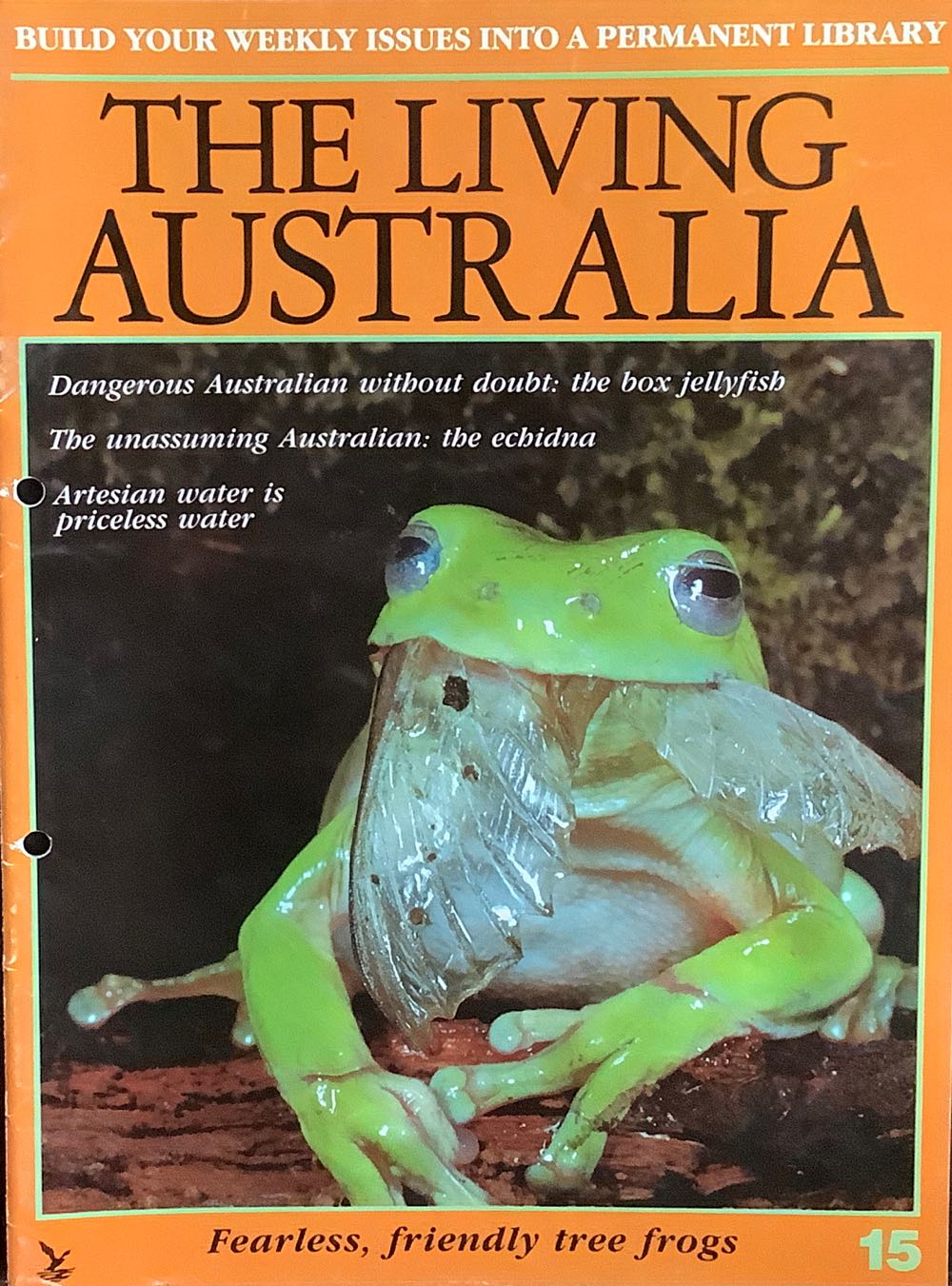 Roswell Little Green Man