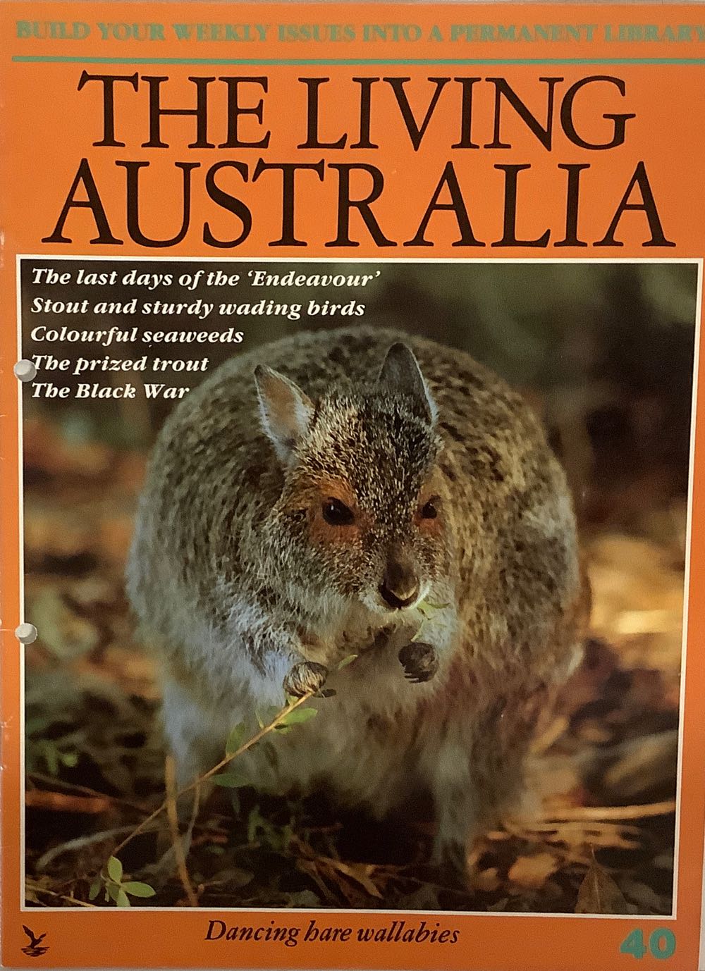 The Comics Journal 58