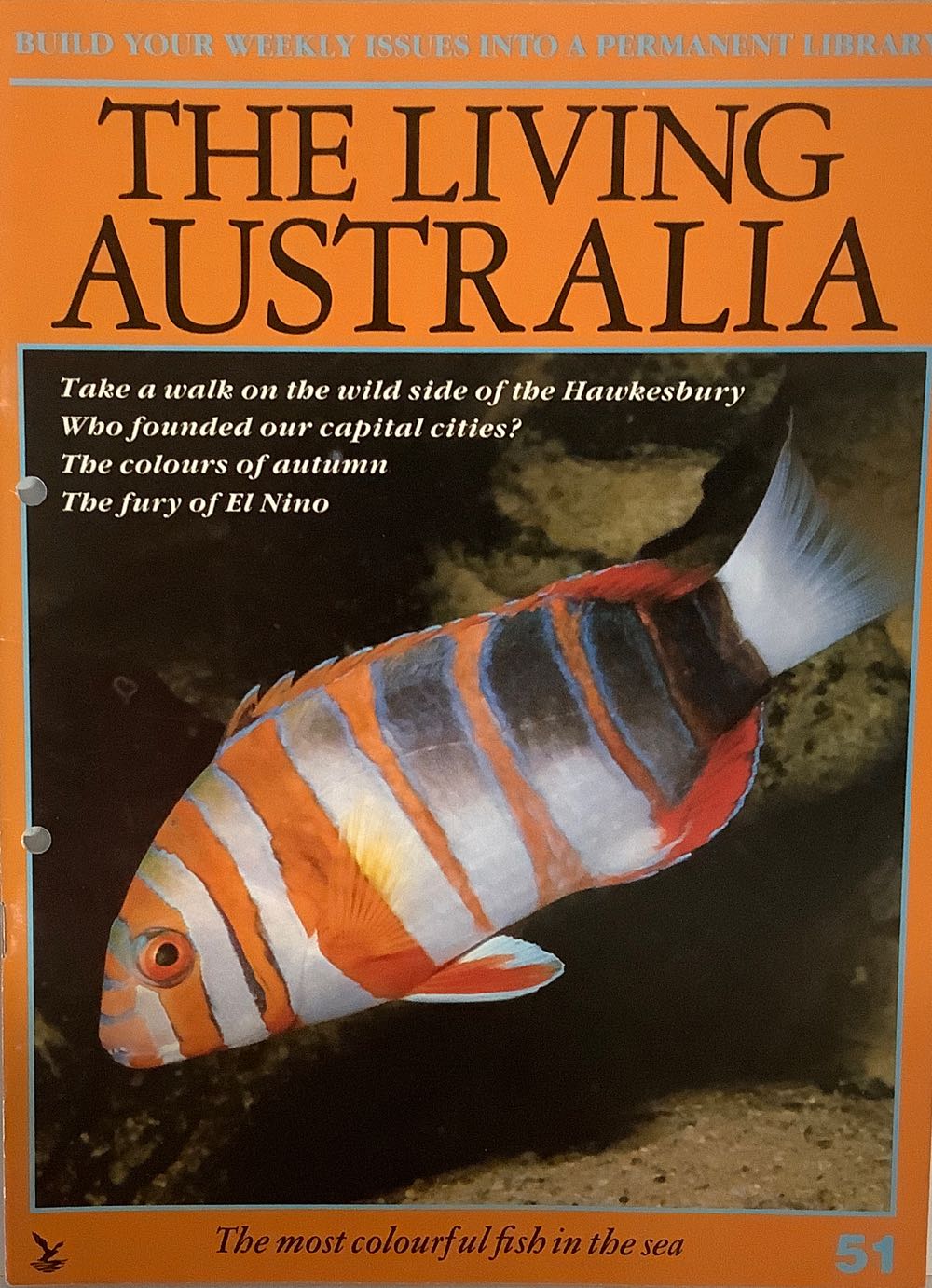 Famous Monsters Of Filmland