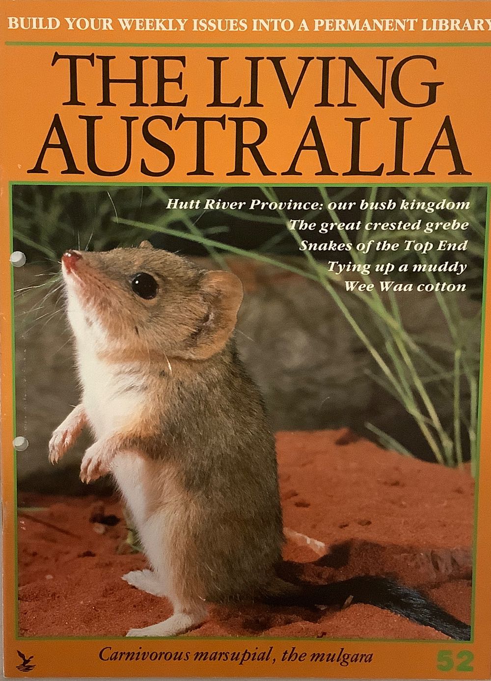 Ken Maynard’s Cartoons From The Ettamogah Pub