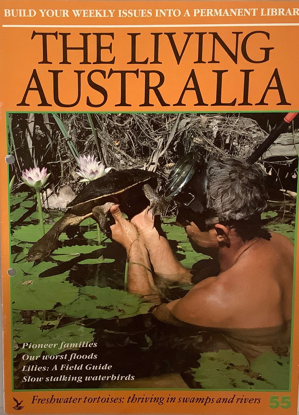 Australian Railway History