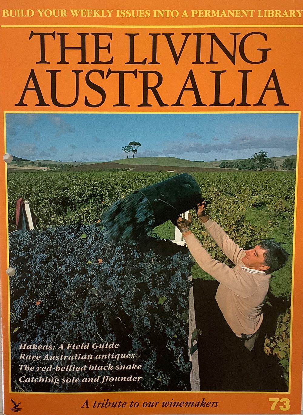 Mad Super Size Super Special 132 Pages