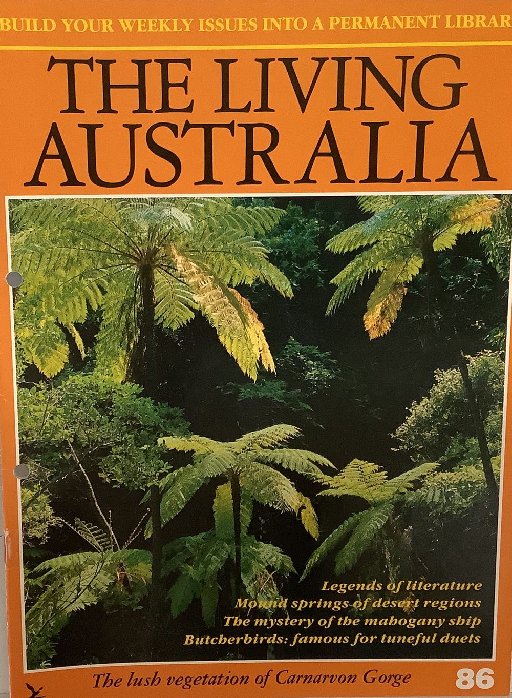 Sports Illustrated Swimsuit Issue