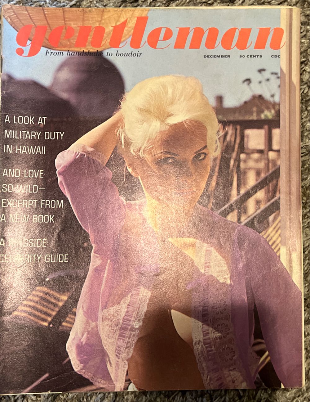 Hammacher Schlemmer (2011 Last Chance)