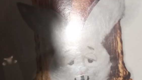 Famous Monsters Of Filmland 1964 Yearbook