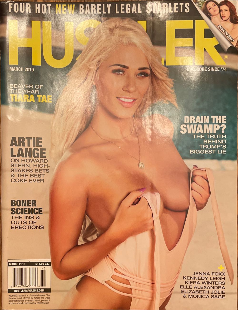 Analog December 2004