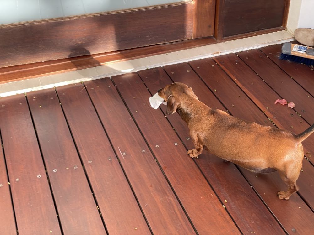 Star Wars Insider #153C