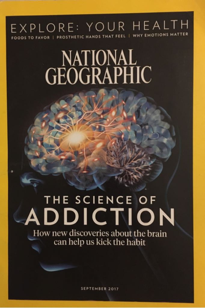 DollsHouse & Miniature Scene  2022 July