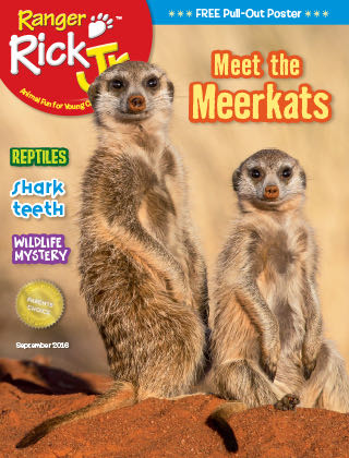 People Magazine 2020 May 11