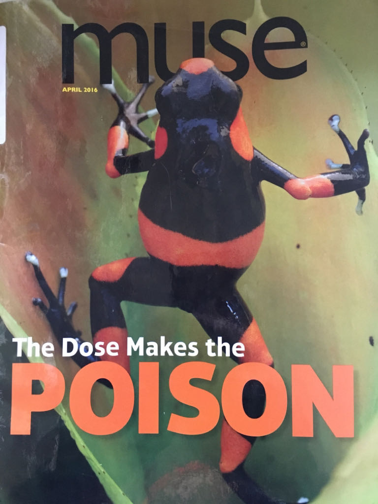 Christmas Cookies 2020 January