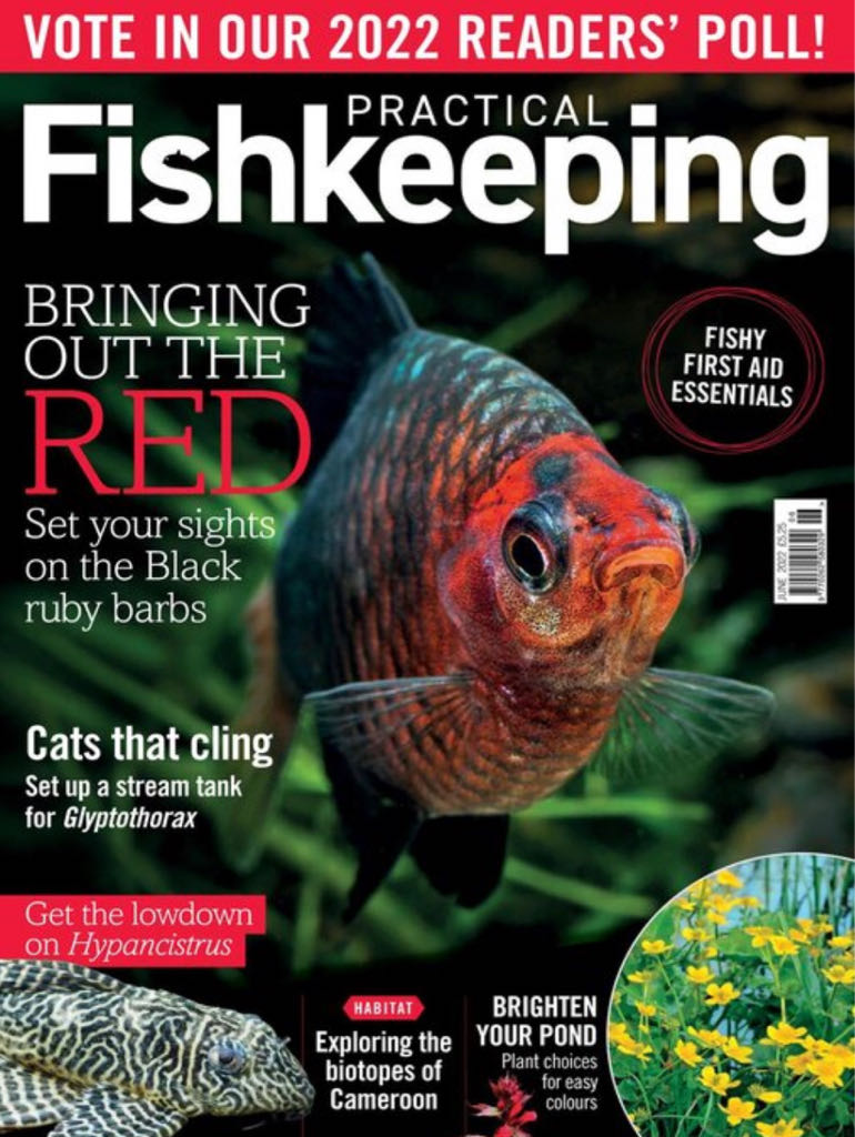 Beadwork 2018 October-November