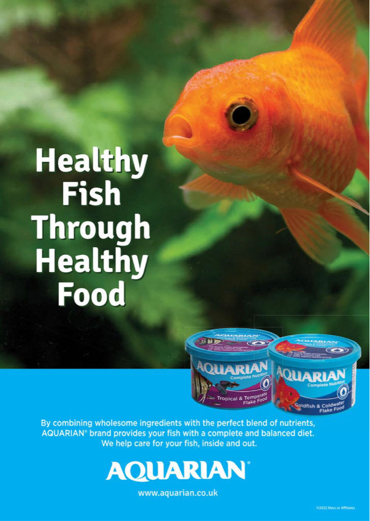 Practical Fishkeeping 2022 June  (June) magazine collectible - Main Image 2