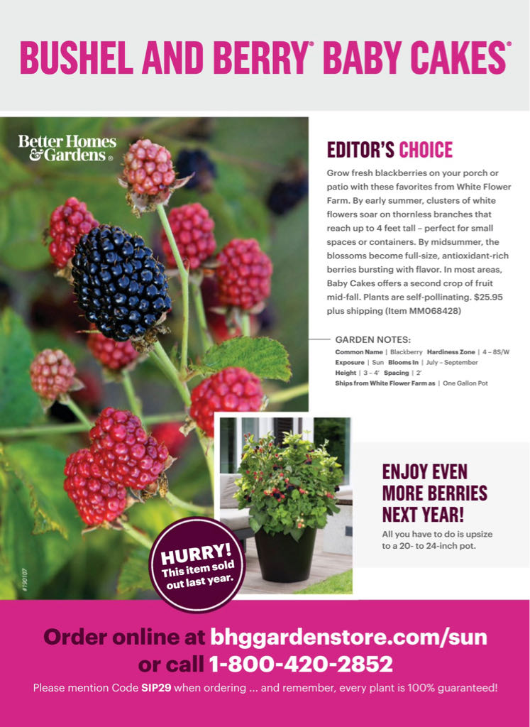 BH&G Kids Room  2019 March  (March) magazine collectible - Main Image 2