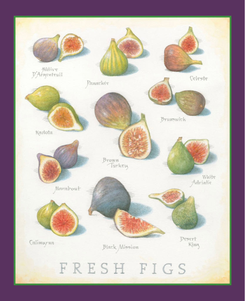 Cook’s Illustrated  2022 September-October  (September) magazine collectible - Main Image 2