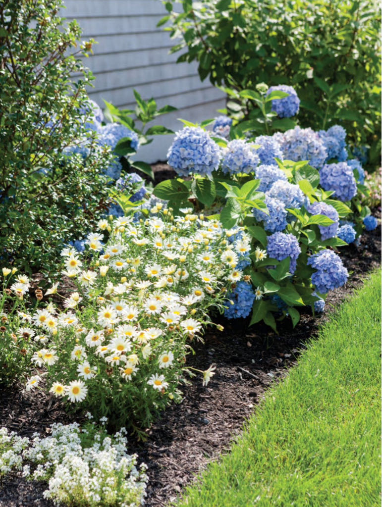 Cottage Journal Classic Cottage 2022 September, The  (September) magazine collectible - Main Image 2