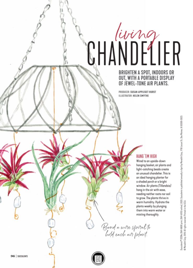 BH&G Succulents  2020 April  (April) magazine collectible - Main Image 2