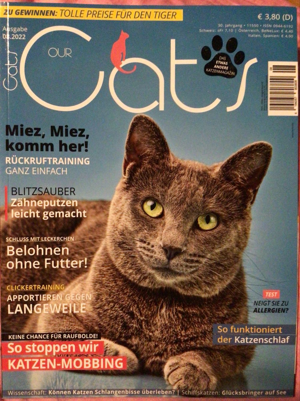 Our Cats  (August) magazine collectible [Barcode 419405780380908] - Main Image 1
