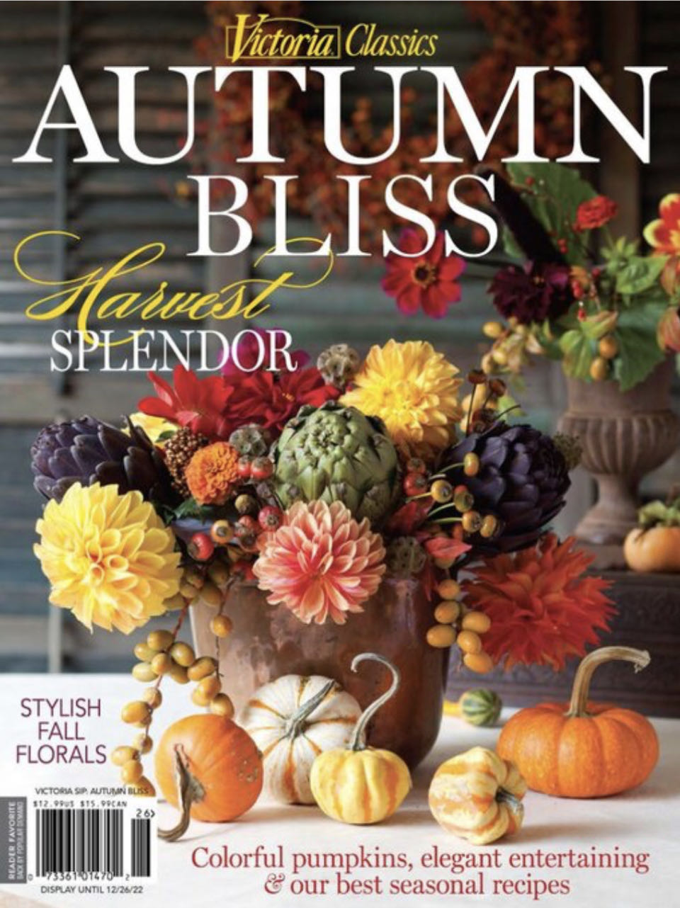 XTC Wiener Magnet Babes