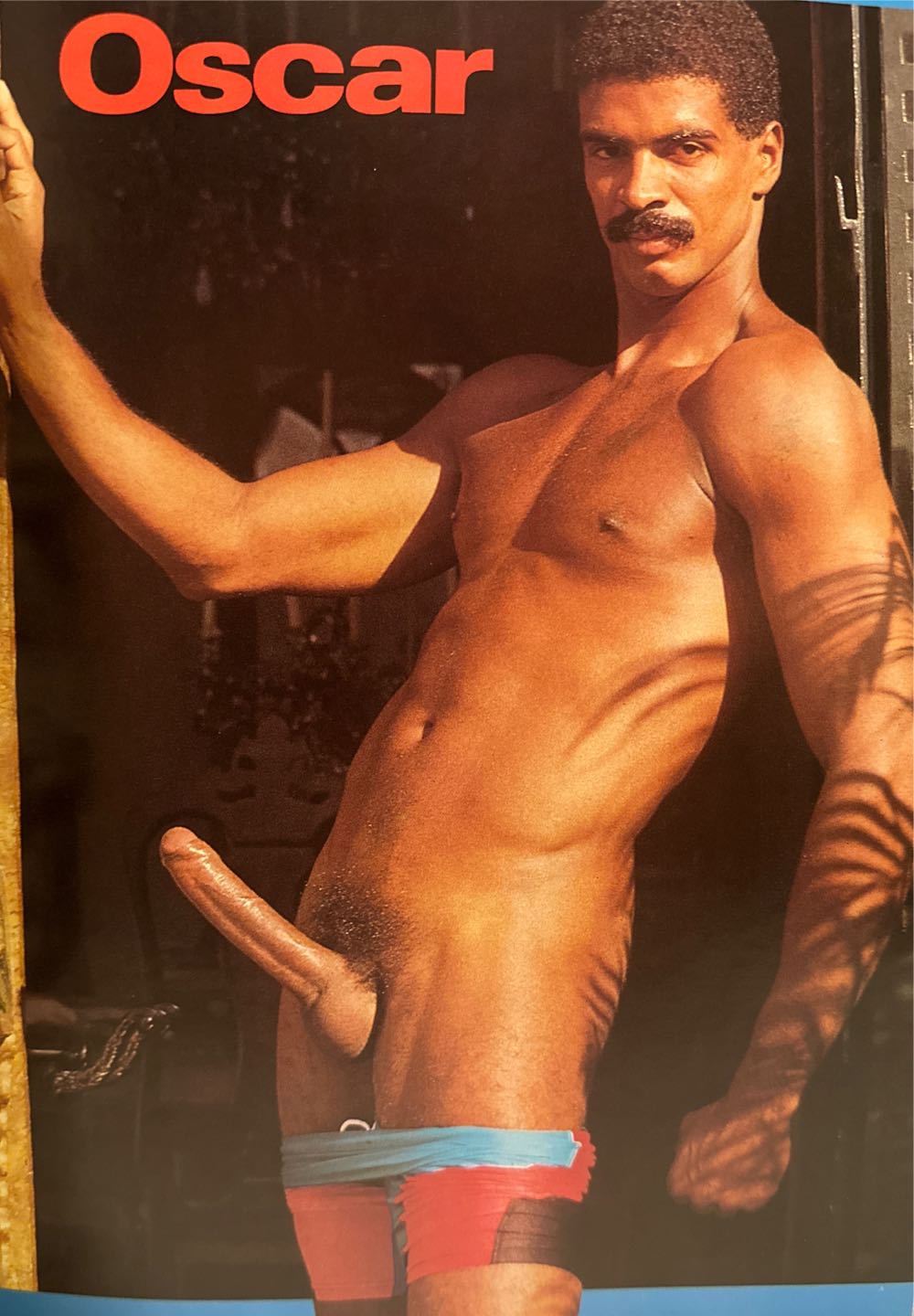 Amazonia  magazine collectible - Main Image 3