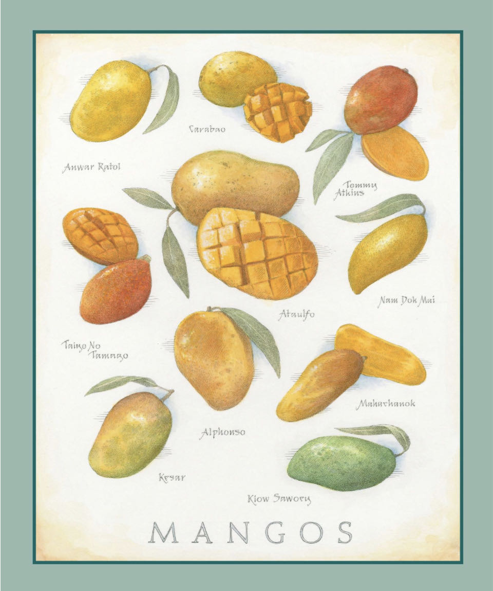 Cook’s Illustrated  2023 March-April  (March) magazine collectible - Main Image 2