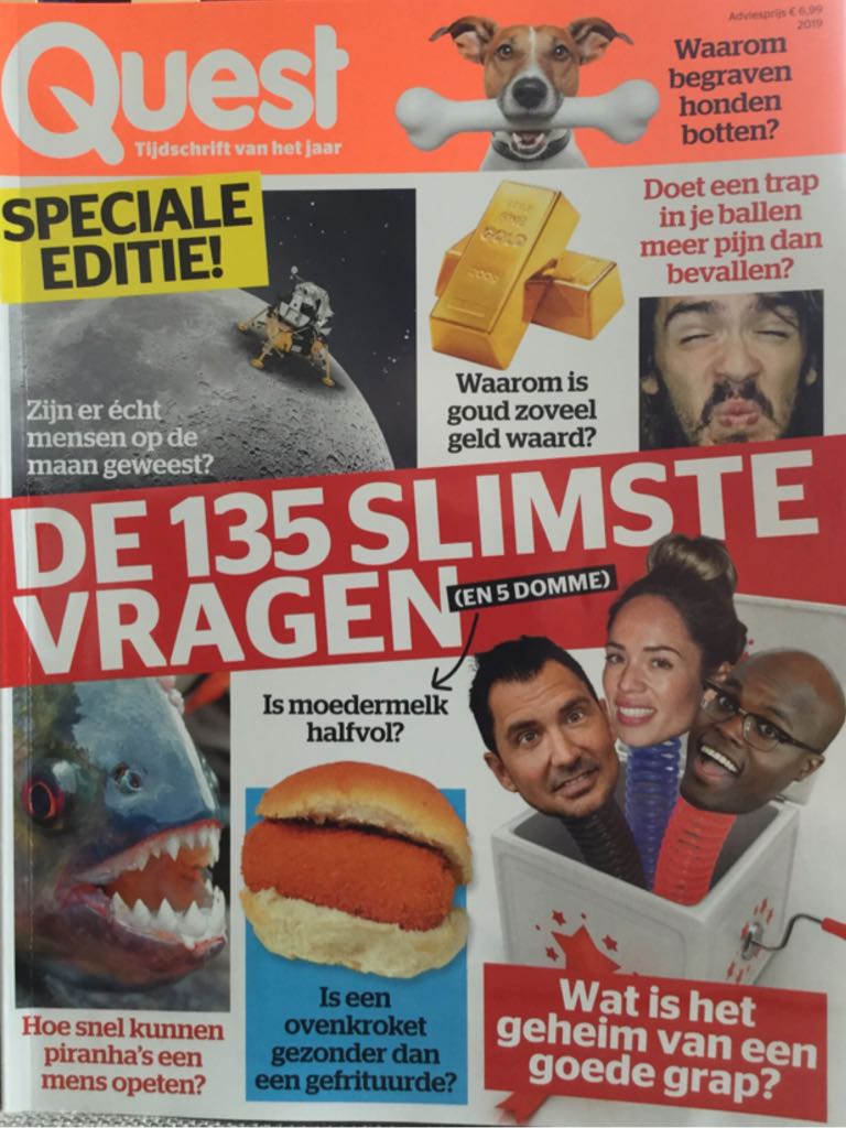 Final Fantasy Viii Official Strategy Guide: Includes Final Fantasy Tattoos