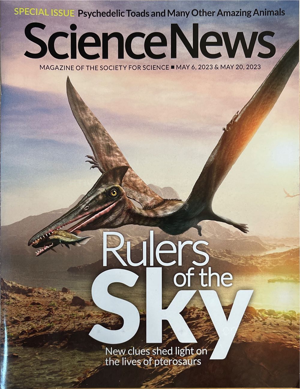 National Geographic: History